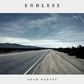 Thumbnail for the Adam Harvey - Endless link, provided by host site