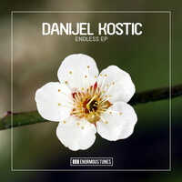 Thumbnail for the Danijel Kostic - Endless link, provided by host site