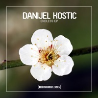 Thumbnail for the Danijel Kostic - Endless link, provided by host site