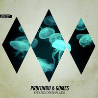 Thumbnail for the Profundo & Gomes - Endless link, provided by host site