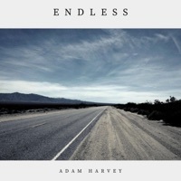 Thumbnail for the Adam Harvey - Endless link, provided by host site