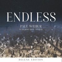 Thumbnail for the Paul Wilbur - Endless link, provided by host site