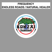 Thumbnail for the Frequency - Endless Roads / Natural Healer link, provided by host site