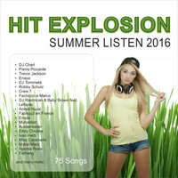 Thumbnail for the Endless Summer - Endless Summer link, provided by host site