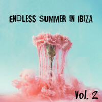 Thumbnail for the Ibiza Chill Out - Endless Summer in Ibiza Vol. 2 - The Hottest Dance Chillout Songs link, provided by host site