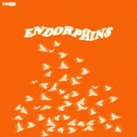 Thumbnail for the Vwillz - ENDORPHINS link, provided by host site