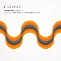 Thumbnail for the Sed Project - Endurance (Remixes) link, provided by host site