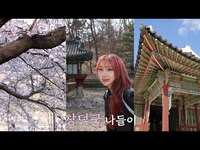 Thumbnail for the SECRET NUMBER - [민지 브이로그] 민지와 함께하는 창덕궁 나들이🌸🍃 (편집:박민지) | (ENG/JP SUB) link, provided by host site