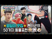 Thumbnail for the Pentagon - [ENG SUB] 엉덩이에 중독된 펜타곤, 여기가 도른자들의 맛집인가요? [※ 무용연습실 ※] link, provided by host site