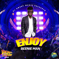 Thumbnail for the Beenie Man - Enjoy link, provided by host site
