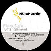 Thumbnail for the Planetary - Entanglement link, provided by host site