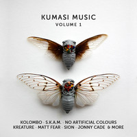 Thumbnail for the S.K.A.M. - Enter The Void - Original Mix link, provided by host site