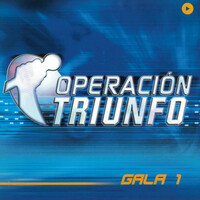 Thumbnail for the Manuel Carrasco - Entra En Mi Vida link, provided by host site