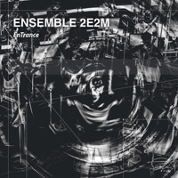 Thumbnail for the Ensemble 2E2M - EnTrance link, provided by host site