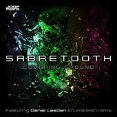 Thumbnail for the Daniel Lesden - Enuma Elish (Sabretooth Remix) link, provided by host site