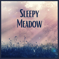 Thumbnail for the Sleep Music System - Environ link, provided by host site