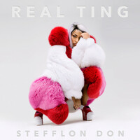 Thumbnail for the Stefflon Don - Envy Us link, provided by host site