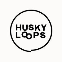 Thumbnail for the Husky Loops - EP2 link, provided by host site