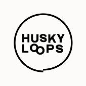 Thumbnail for the Husky Loops - Ep2 link, provided by host site