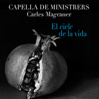 Thumbnail for the The Anonymous - Epitafio de Seikilos link, provided by host site