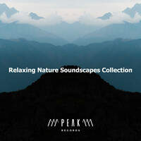 Thumbnail for the Relaxing Spa Music - Equal Music link, provided by host site