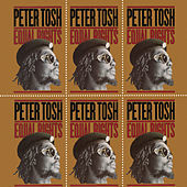 Thumbnail for the Peter Tosh - Equal Rights link, provided by host site
