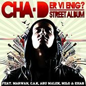 Thumbnail for the CHA-D - Er Vi Enig´? link, provided by host site