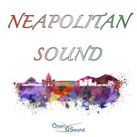 Thumbnail for the Fabio Borgazzi - Ercolano link, provided by host site