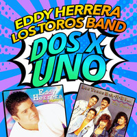 Thumbnail for the Los Toros Band - Eres link, provided by host site