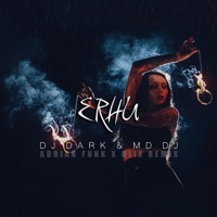 Thumbnail for the DJ Dark - Erhu (Adrian Funk X OLiX Remix) link, provided by host site