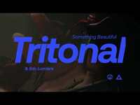 Thumbnail for the Tritonal - Something Beautiful link, provided by host site