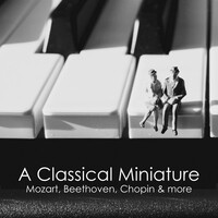 Thumbnail for the Ludwig van Beethoven - Eroica Variations, Op. 35: Var. 3 link, provided by host site