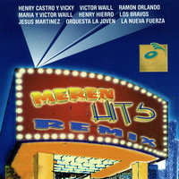 Thumbnail for the Los Bravos - Esa Loca link, provided by host site