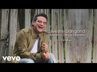 Thumbnail for the Silvestre Dangond - Esa Mujer (Cover Audio) link, provided by host site