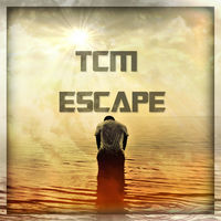 Image of Tcm linking to their artist page due to link from them being at the top of the main table on this page