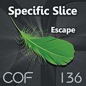 Thumbnail for the Specific Slice - Escape link, provided by host site