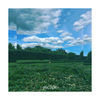 Thumbnail for the Paloalto - Escape link, provided by host site