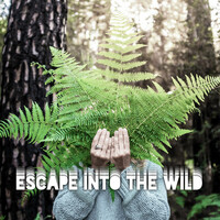Thumbnail for the The Calming Sounds Of Nature - Escape Into the Wild – Beautiful Nature Sounds Collection for Relaxation, Meditation, Sleep or Study, Water, Birds, Rain and Birds Songs, Healing Therapy, Piano link, provided by host site