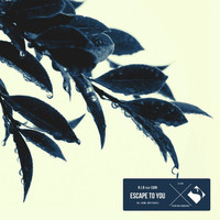 Thumbnail for the R.I.B. - Escape to You (Remixes) link, provided by host site