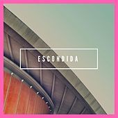 Thumbnail for the David Sanchez - Escondida link, provided by host site