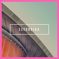 Thumbnail for the David Sanchez - Escondida link, provided by host site