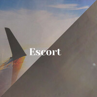 Thumbnail for the Pava - Escort link, provided by host site