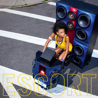 Thumbnail for the Escort - Escort link, provided by host site