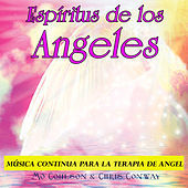 Thumbnail for the Chris Conway - Espíritus de los Angeles: Música Continua para la Terapia de Angel link, provided by host site