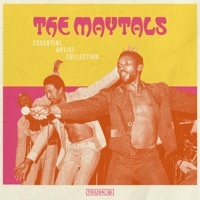 Thumbnail for the the Maytals - Essential Artist Collection – The Maytals link, provided by host site