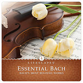 Thumbnail for the Dirk Freymuth - Essential Bach link, provided by host site