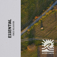 Image of Echoes Of Nature linking to their artist page due to link from them being at the top of the main table on this page