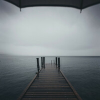 Thumbnail for the Sleep Songs with Nature Sounds - Essential Nature Recordings | Rain, Birds & Water | Your Relaxation link, provided by host site