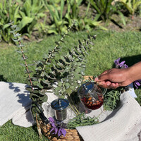 Thumbnail for the wantmoreN8 - Essential Oils (Remix) link, provided by host site