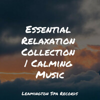 Thumbnail for the Regen - Essential Relaxation Collection | Calming Music link, provided by host site